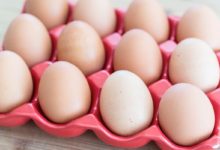 L’Italia non è a rischio di uova contaminate